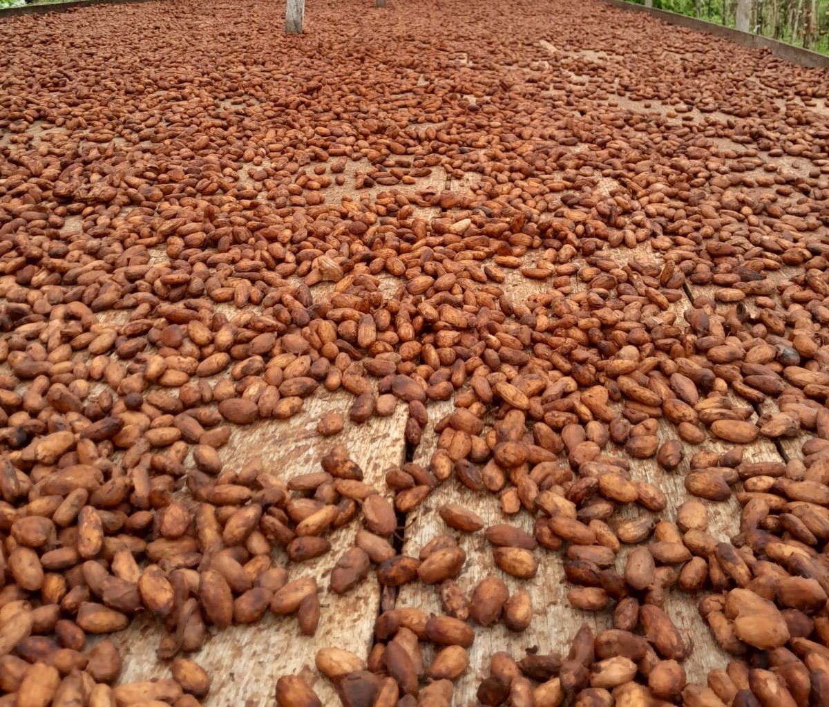 Signature Blend Roast Coffee